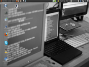 Screen-Ubuntu-10.04